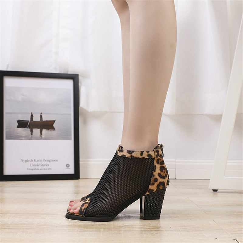 Mesh with Leopard Print Shoes