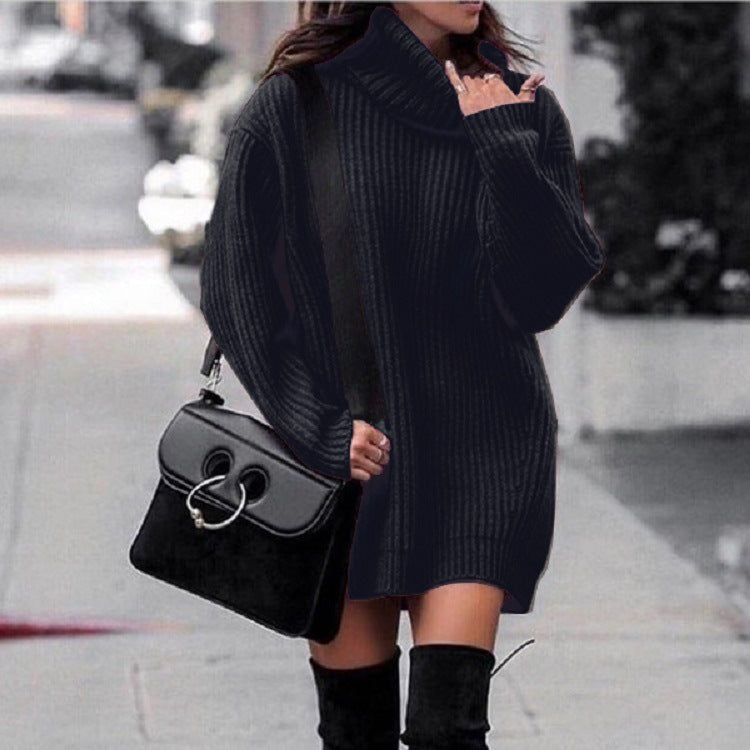 Knit Roller-neck Thick Large Sweater Dress