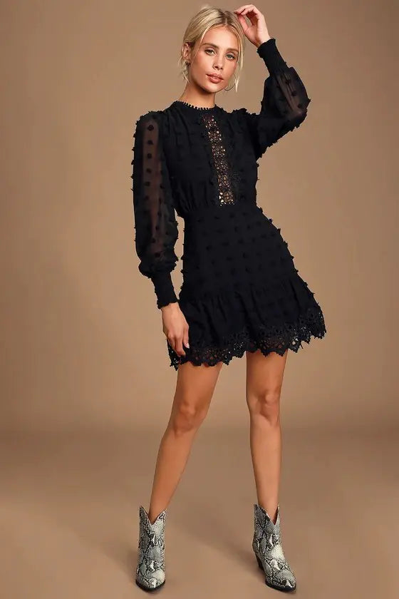 Embroidered Lace Long Sleeve Dress