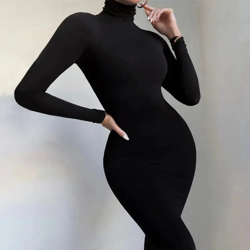 Turtle-neck Long Sleeve Jumpsuit