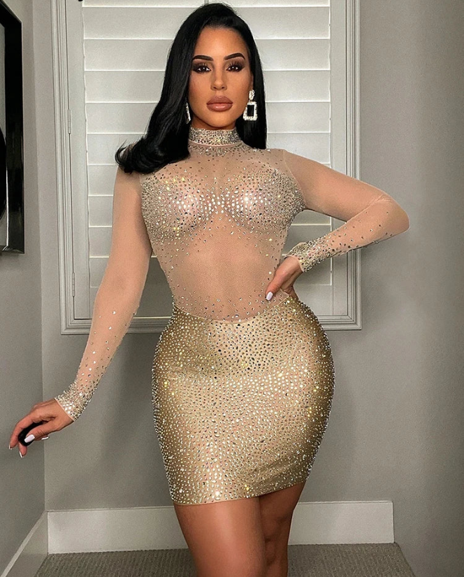 Sequin Mesh Sheer Long Sleeve Short Dress