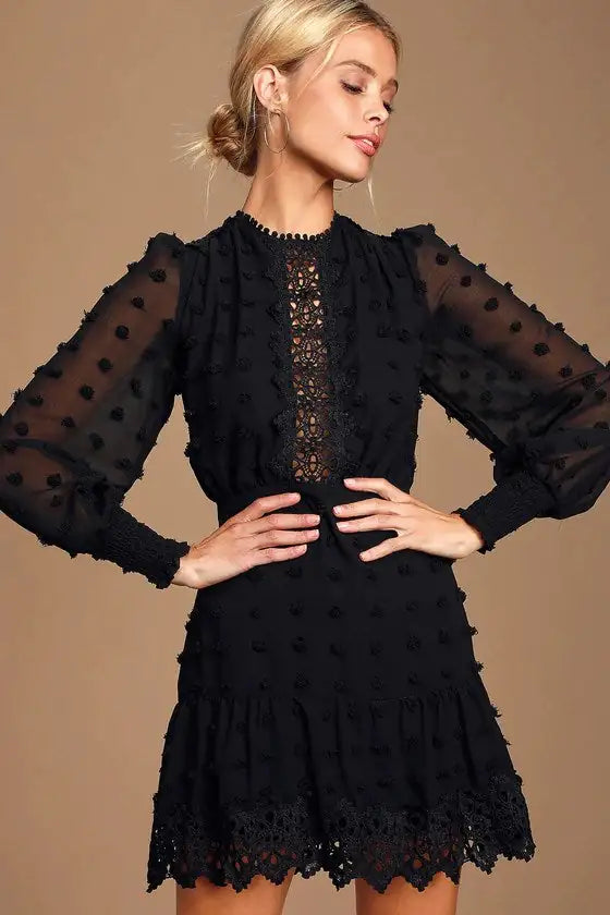 Embroidered Lace Long Sleeve Dress